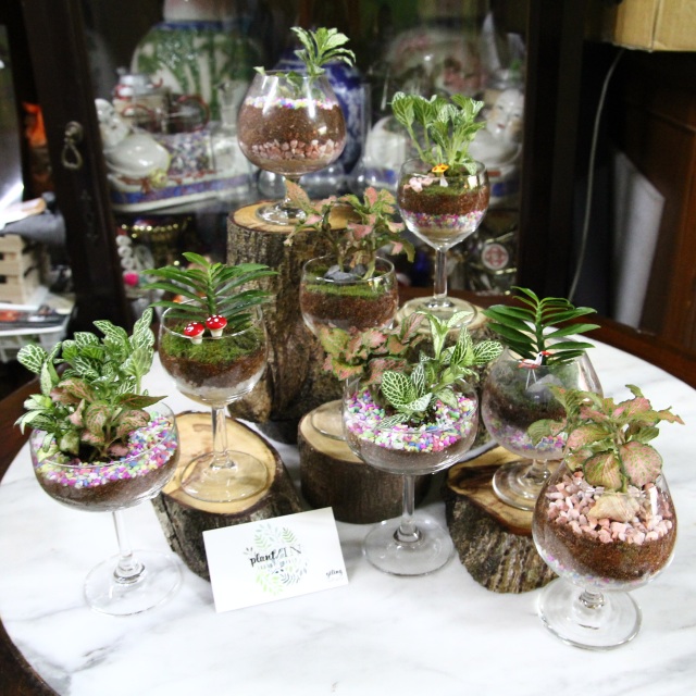 Indoor Plants In Wine Glass Ideal As Party Or Wedding