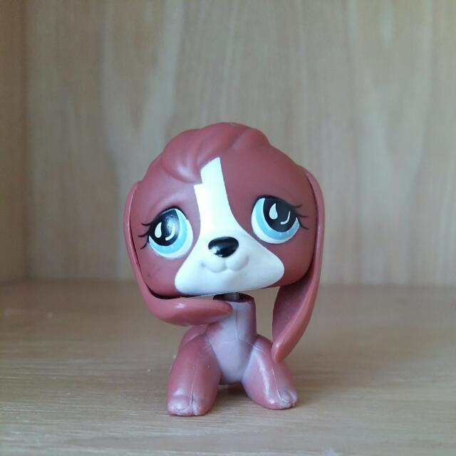 Lps beagle shop