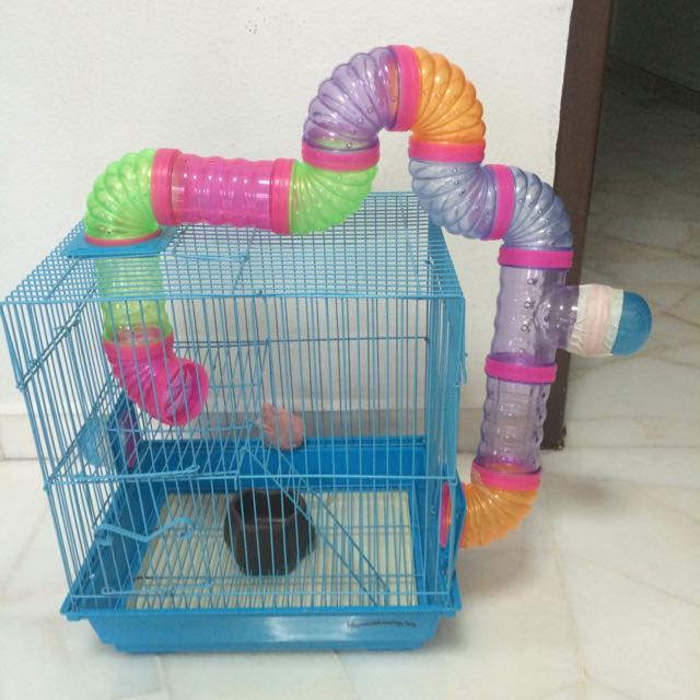 Hamster Cage 10 Pet Supplies Homes Other Pet Accessories on Carousell