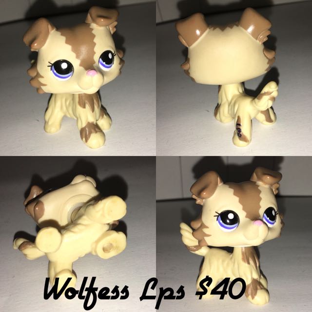 lps collie 2210