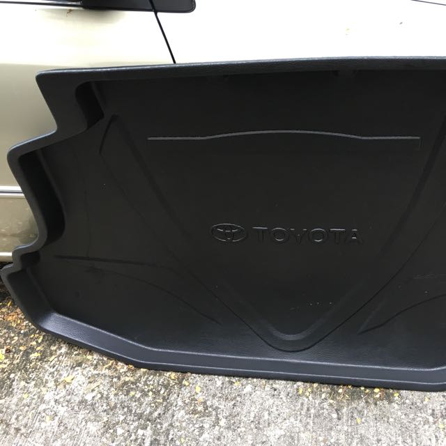car luggage tray
