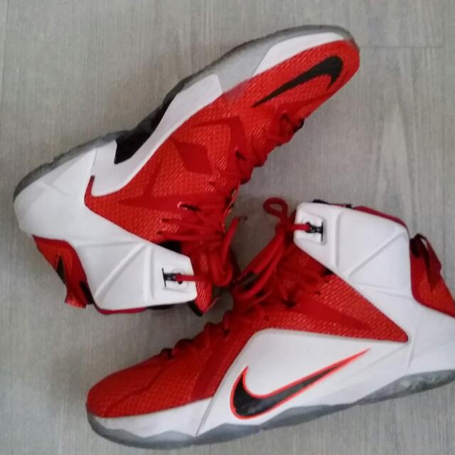 Lebrons xll hotsell