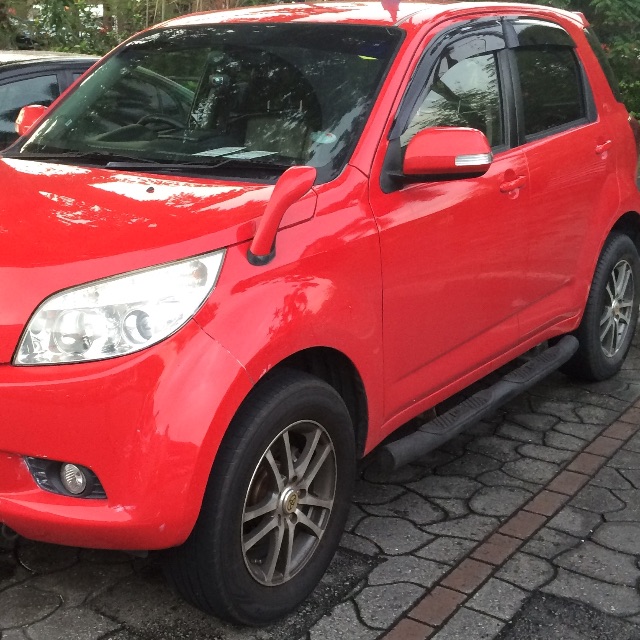 car side step bars