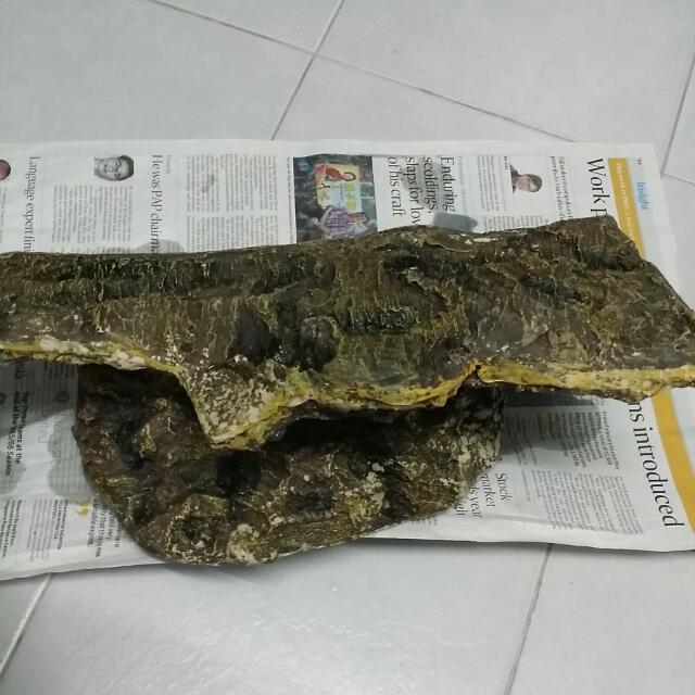 Turtle Platform (Category: Homes & Other Pet Accessories) located in Singapore. Submitted by andytan74 (Listing ID 57146399, Image 3). Description: .