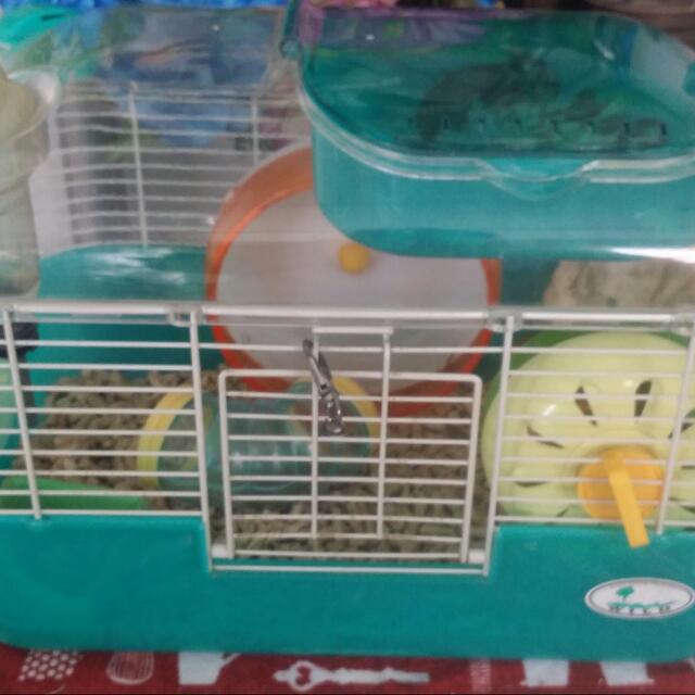 hamster condo