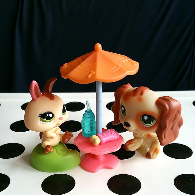 Lps Littlest Pet Shop Chit Chat Corner Accessory Toys Games On Carousell