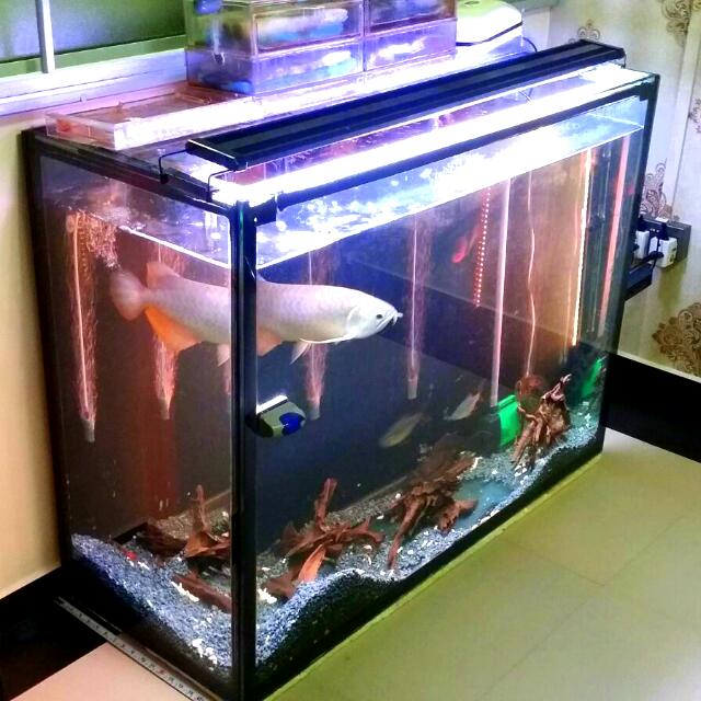 Floor sale fish tank