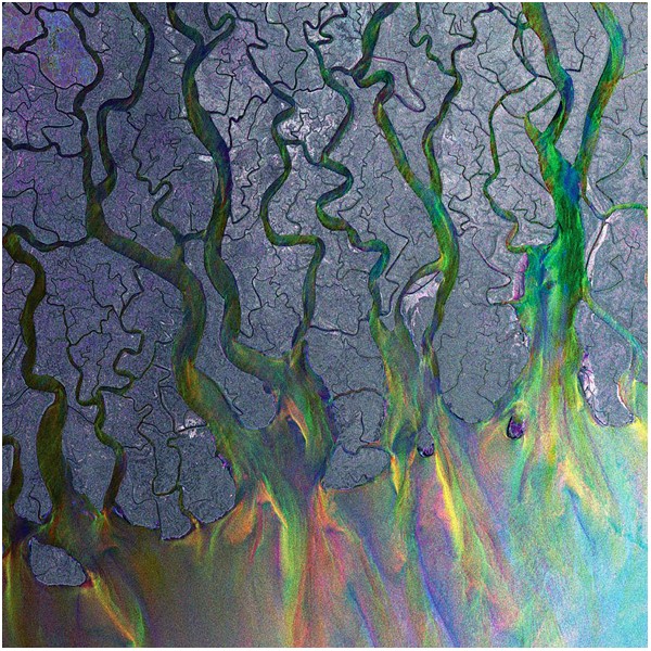 Image result for Alt-J - An Awesome Wave