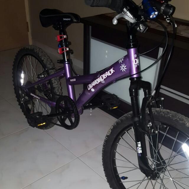 Tess 20 online bike