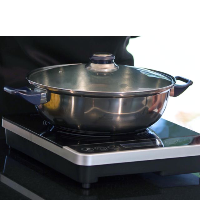 New Wave Portable Induction Cooktop Kitchen Appliances On Carousell