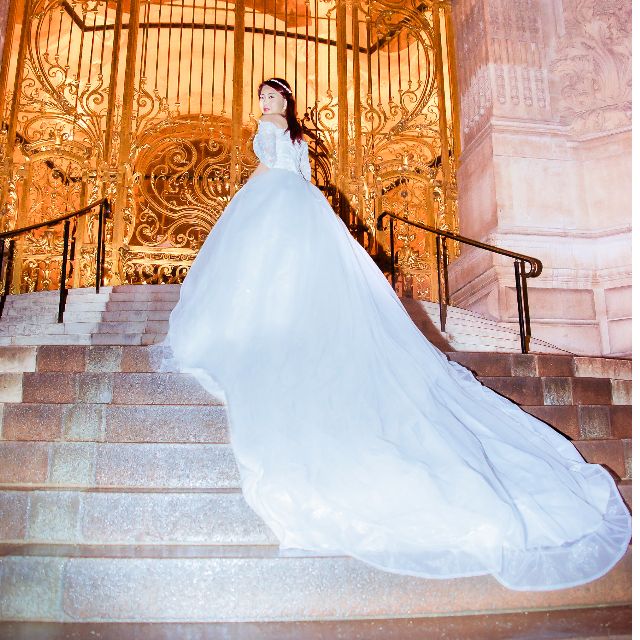 Wedding dresses with very long best sale trains