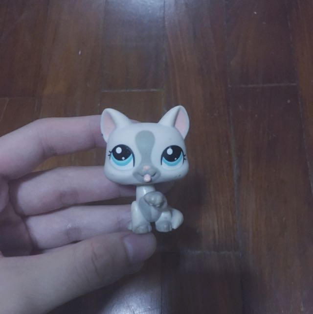 lps white cat