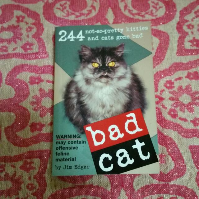 Bad Cat By Jim Edgar Books Stationery On Carousell