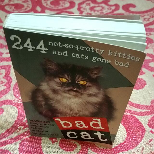 Bad Cat By Jim Edgar Books Stationery On Carousell