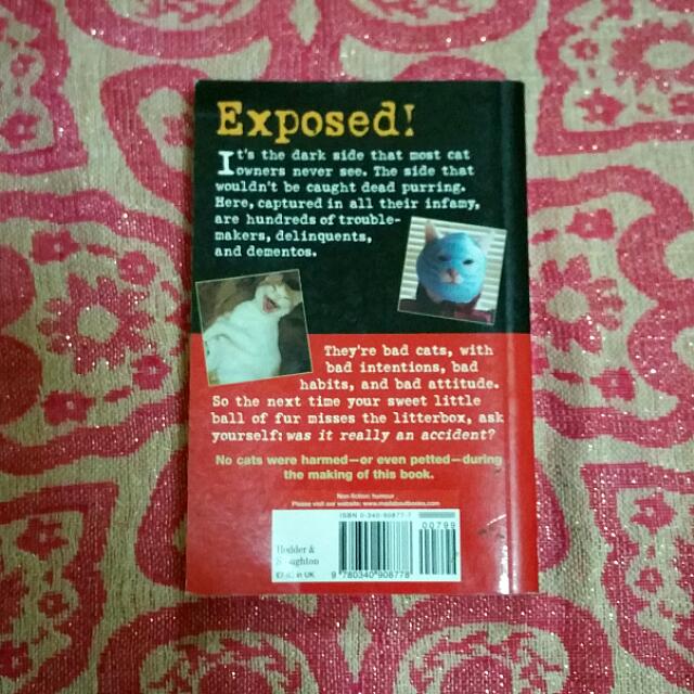 Bad Cat By Jim Edgar Books Stationery On Carousell
