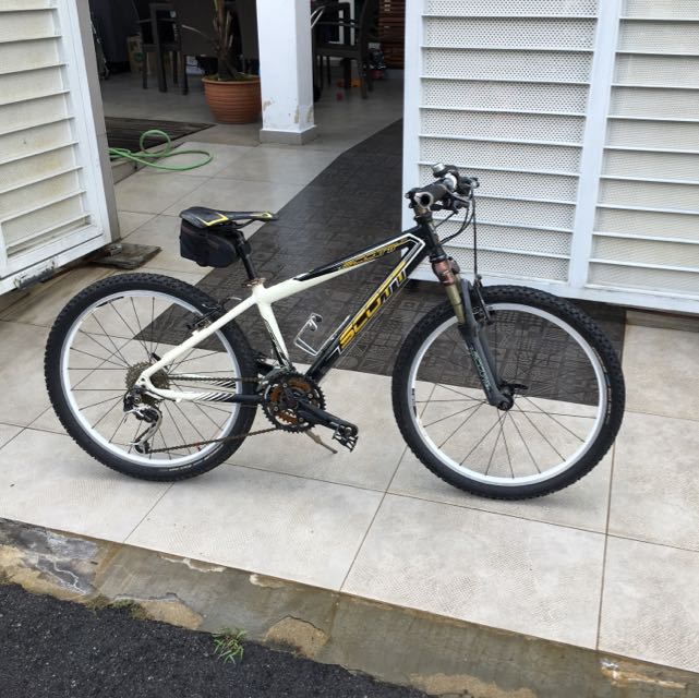 24 scott mountain bike