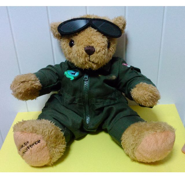 teddy bear with sunglasses