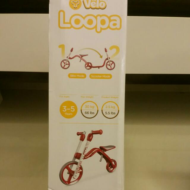 Velo loopa 2025