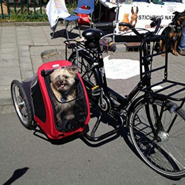 bicycle and sidecar