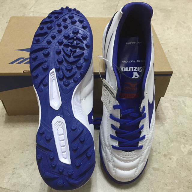 Morelia neo ut as online