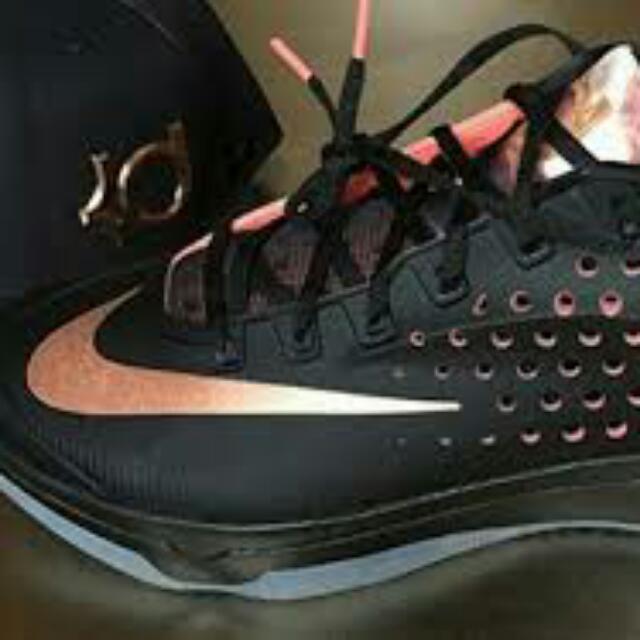 kd 7 rose