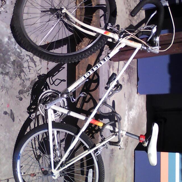 peugeot carbolite 103 tube special