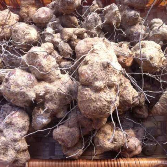 Ubi Jaga Dried Sgd 200 Kg Men S Fashion On Carousell
