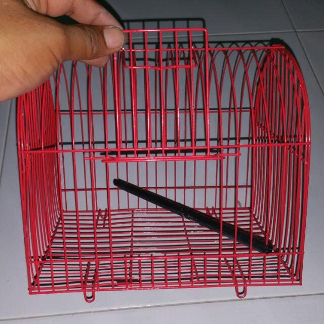 bark box home alone super chewer