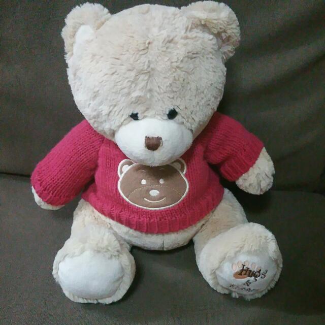very cute teddy