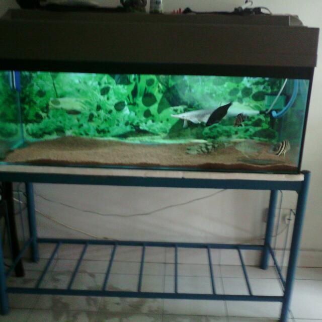 Aquarium / Akuarium / Fish Tank Top Cover, Pet Supplies, Homes & Other Pet  Accessories on Carousell