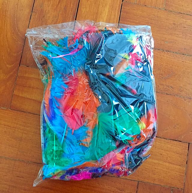 Coloured Feathers (spotlight), Hobbies & Toys, Stationery & Craft