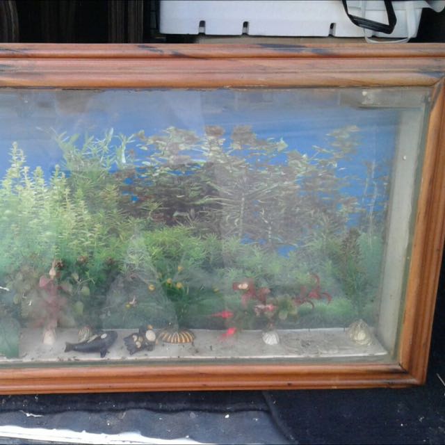 mounted fish tank