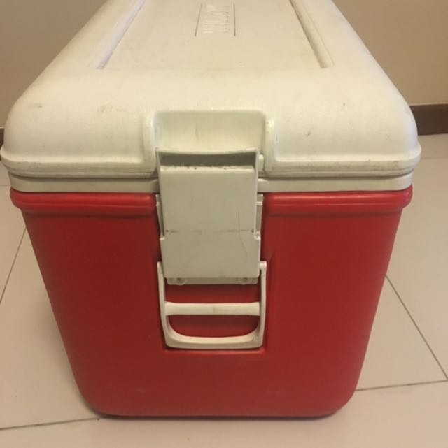 Willow 44 deals litre esky