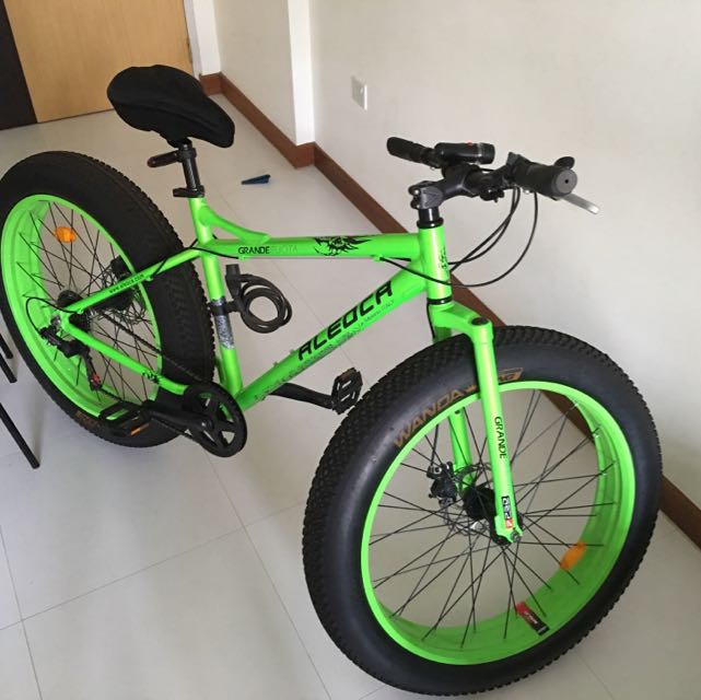 Aleoca fat bike 2025