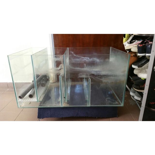 large dog grooming kit