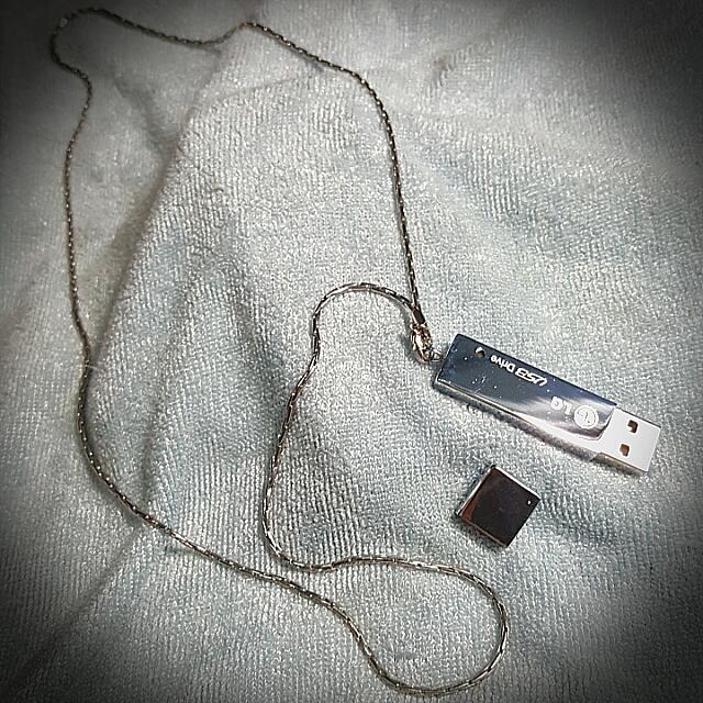 LG Chrome Necklace Usb Flash Drive, Electronics, Computer Parts