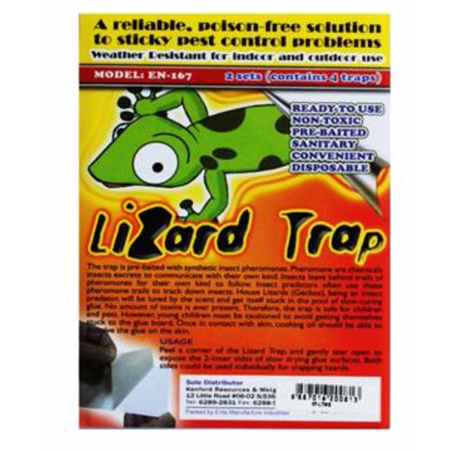 Lizard Trap with Bait (Super effective and efficient!)