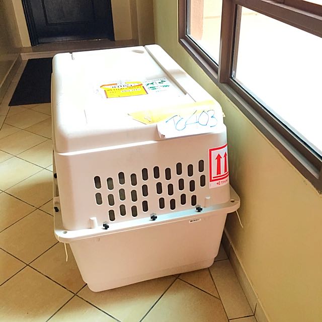 Dog Carrier (Large Size), Pet Supplies, Homes & Other Pet Accessories