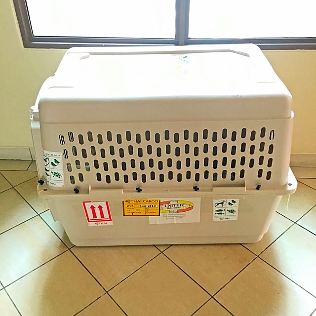 Dog Carrier (Large Size), Pet Supplies, Homes & Other Pet Accessories