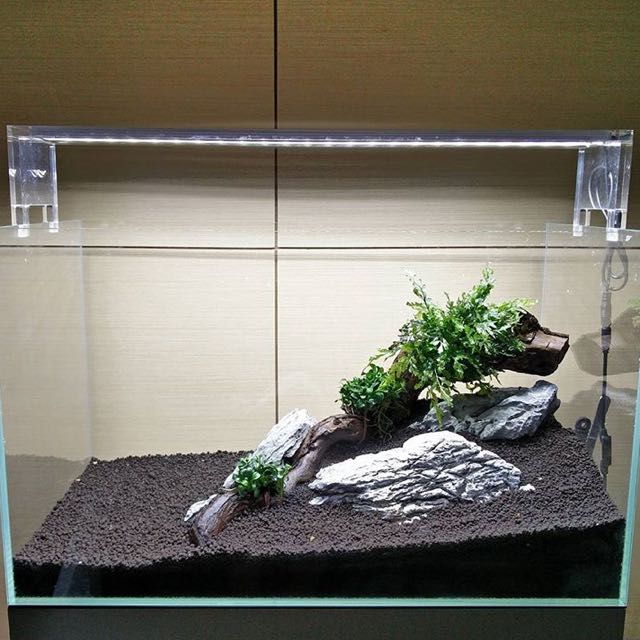 Aquascape Ideas Aquascape Design Jakarta