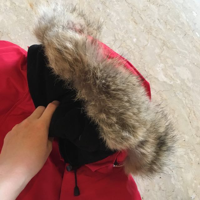 CANADA GOOSE VICTORIAN PARKA SIZE XS IN RED REAL COYOTE FUR LIKE NEW DOWN JACKET VICTORIA Luxury Sneakers Footwear on Carousell