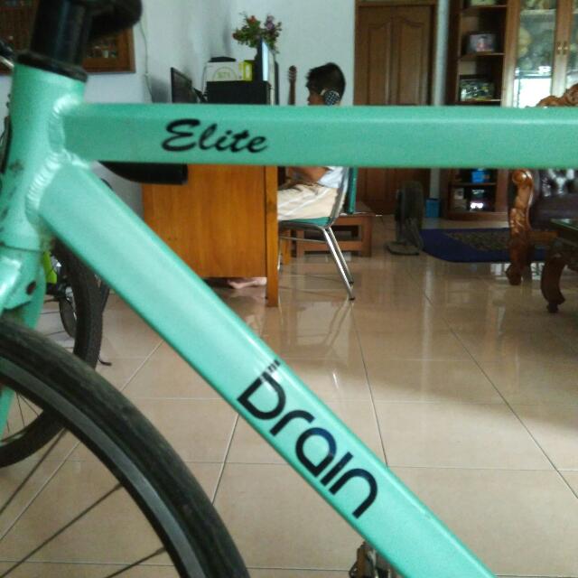 frame fixie brain