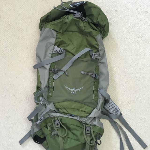 Osprey kestrel 38 green top