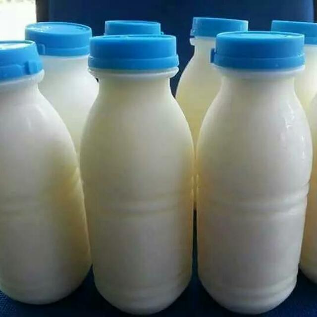 Susu Kambing Segar 100 Asli Community On Carousell