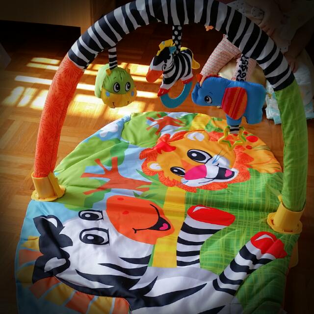 explore and store activity gym