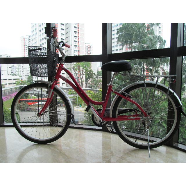 Raleigh venture 1.0 new arrivals