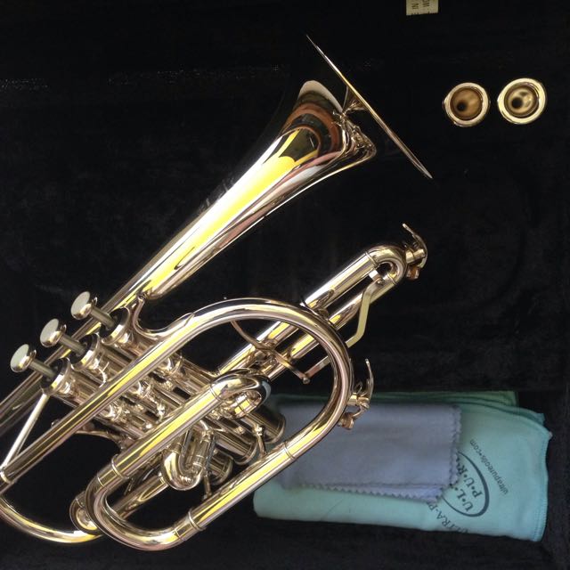 Yamaha Neo Silver, Hobbies & Toys, Music & Media, Music