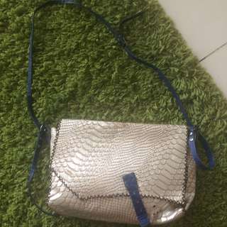 Silver/blue Leather Long Bag