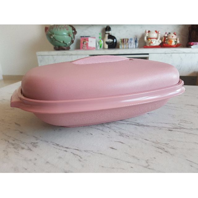 Authentic TupperWare, Container (Category: Water Purifers & Dispensers) located in Singapore. Submitted by jtmr93 (Listing ID 63797163, Image 1). Description: Brand New Authentic TupperWare, Container Dimension (estimate measurement) - Length: 25.0cm - Width: 17.5cm - Height: 7.5cm Suitable for using as food container and storage (Example: candy, spices, keys, coins etc.).