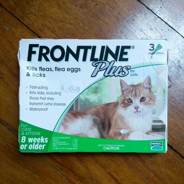 Frontline Plus For Cats And Kitten 8weeks Or Older On Carousell